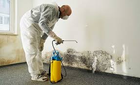 Best Emergency Mold Remediation  in Waupaca, WI